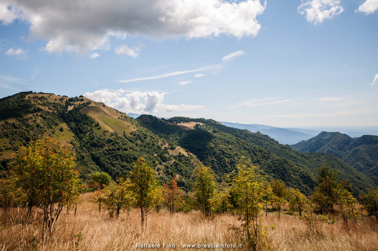 Monte Pallotto