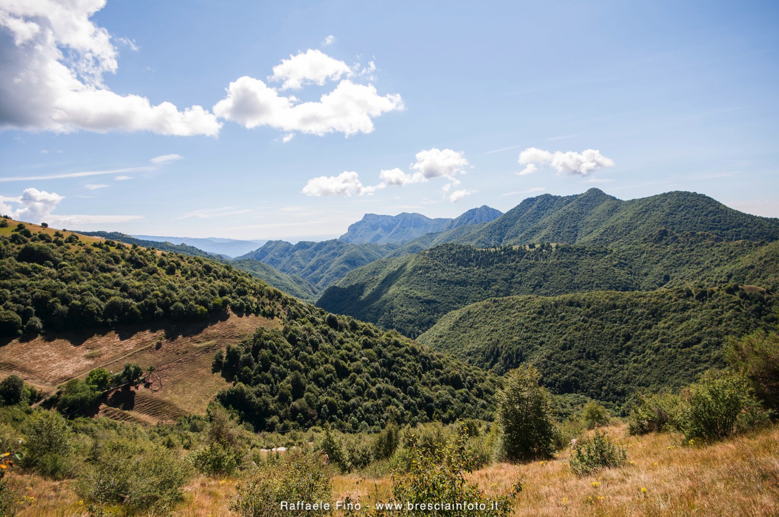 Panorama verso il Monte Pizzoccolo